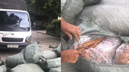 800kg lòng lợn khô giấu trong xe tải nhập lậu qua biên giới