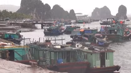 Đang nuôi trồng hải sản trên biển, bị "yêu râu xanh" đánh và hiếp dâm