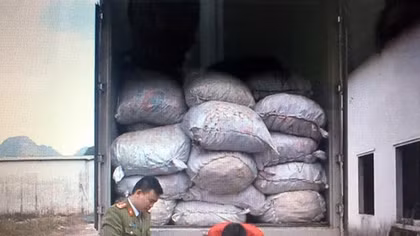 Quảng Ninh xử phạt 90 triệu hành vi khai thác cát trái phép, vận chuyển hàng không rõ nguồn gốc
