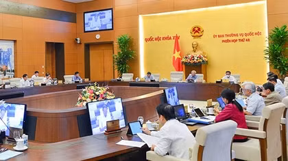 Cồng kềnh, phức tạp với số lượng lớn văn bản dưới luật
