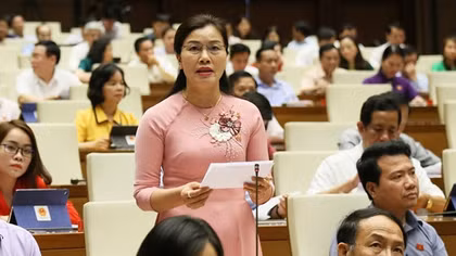 Từ đầu năm 2019 đến nay đã khởi tố trên 300 vụ liên quan đến lĩnh vực môi trường