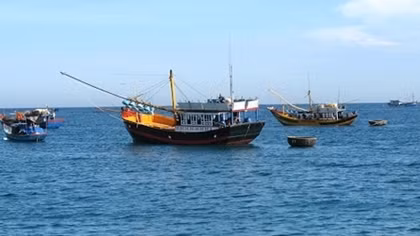 Xử lý nghiêm tổ chức, cá nhân để tàu cá khai thác hải sản trái phép