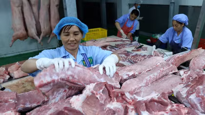 Bộ Nông nghiệp bị phê bình vì giá thịt lợn tăng cao chót vót