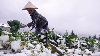 Năm 2019 sẽ là năm nóng nhất trong lịch sử toàn cầu