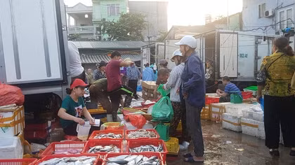 Kiểm điểm trách nhiệm các cán bộ để xảy ra tình trạng “bảo kê” tại chợ Long Biên