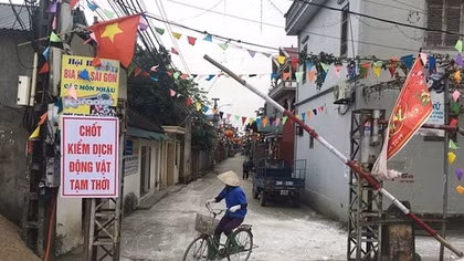 Hà Nội xuất hiện ổ dịch tả lợn châu Phi thứ 3