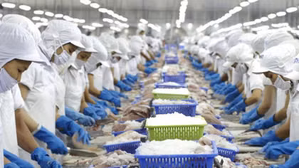 Cần tăng mức xử phạt hành vi khai thác thủy sản bất hợp pháp