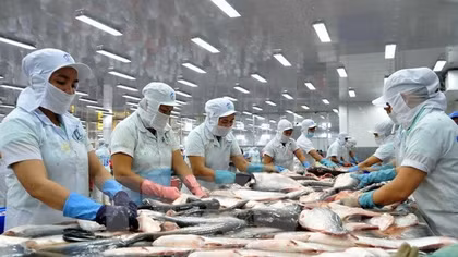 Xuất khẩu cá tra đi EU và Mỹ giảm mạnh