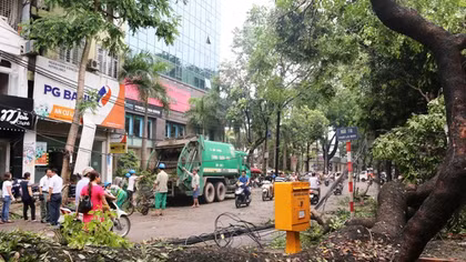 Gần 3.000 cây xanh gãy đổ ở Hà Nội: Trồng cây đúng qui trình!?