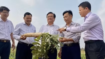 “Thắp lên một ngọn đuốc, thay vì cứ oán trách bóng đêm”