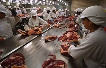 Tạm ngừng nhập khẩu thịt từ Brazil