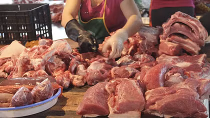 Hà Nội không tính chuyện nhập khẩu thịt lợn vì đủ đáp ứng
