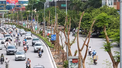 Hà Nội sẽ trồng 300.000 cây xanh trong năm 2018