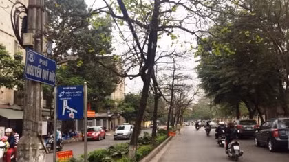 Hà Nội dừng đề án phố đi bộ Nguyễn Quý Đức