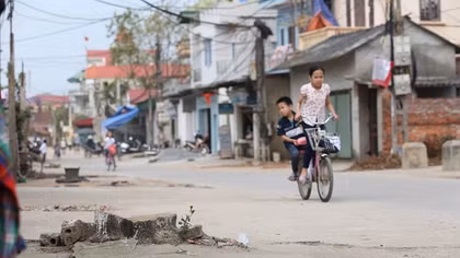 Làm rõ vụ 70 cây xanh bị chặt "oan uổng" khi dẹp vỉa hè