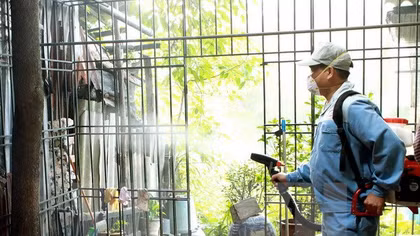 Cảnh giác với cán bộ dịch tễ "rởm" phun thuốc chống SXH thu tiền
