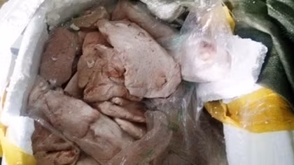Phát hiện xe khách chở gần 1 tấn nầm, đuôi, gân heo bẩn