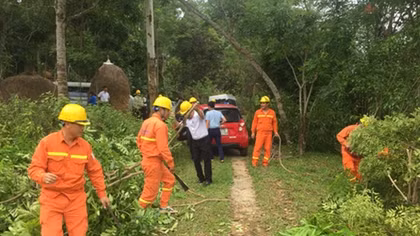 Chung tay bảo vệ an toàn hành lang lưới điện cao áp tại Nghệ An