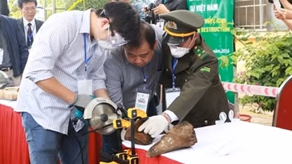 Nghiền nát, đốt thành tro 2 tấn ngà voi, sừng tê giác