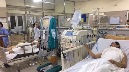 Một trong 3 người bị ngộ độc nấm trong tình trạng nguy kịch