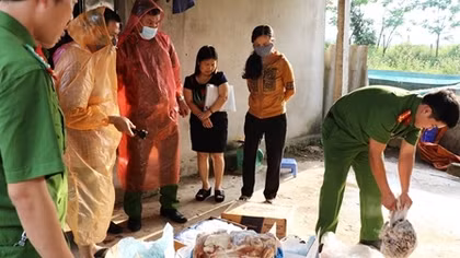 Kiểm tra kho hợp tác, phát hiện trên 1,1 tấn thực phẩm bốc mùi