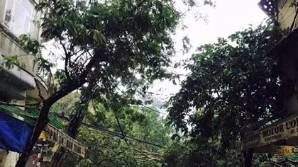 Hà Nội tan hoang sau cơn bão số 1