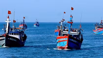 Ngư dân miền Trung nhận bồi thường cao nhất 37 triệu đồng một tháng