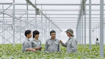 Vingroup liên kết với 1.000 HTX và hộ nông dân cung ứng nông sản sạch