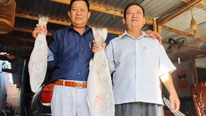 Hai “cần thủ” câu được cặp cá Sủ vàng trị giá tiền tỷ