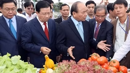 Thủ tướng Nguyễn Xuân Phúc: Tìm giải pháp mới, đột phá trong phát triển nông nghiệp