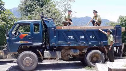 Phát hiện một vụ phá rừng quy mô lớn tại tiều khu 659A