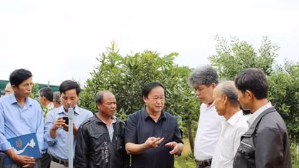 Hội thảo trồng và chăm sóc cây mắc ca