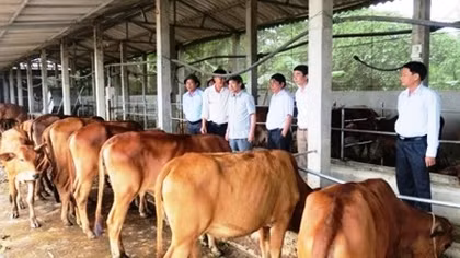 Ngư dân Quảng Trị tích cực chuyển đổi sản xuất