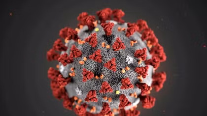 Có ít nhất 30 biến thể của virus SARS-CoV-2 