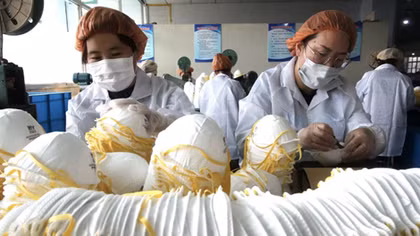 Trung Quốc lên tiếng về lô khẩu trang kém chất lượng gửi cho Hà Lan