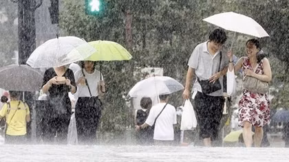 Bão Faxai tấn công Tokyo: 1 người chết, hơn 30 người bị thương