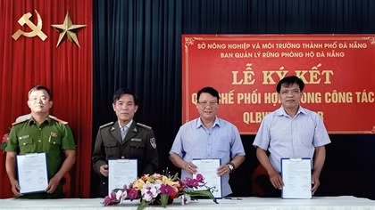 Tăng cường phối hợp quản lý, bảo vệ rừng tại Đà Nẵng