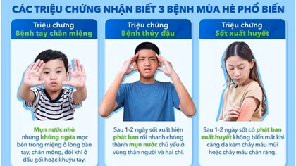 Tại sao mùa hè lại xuất hiện nhiều dịch bệnh?