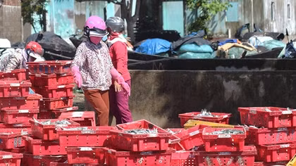 Những người gìn giữ vị mặn của biển