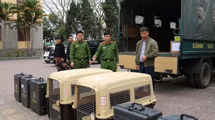Cảnh sát cơ động mang theo chó nghiệp vụ tham gia Đội cứu nạn, cứu hộ của Bộ Công an tại Myanmar