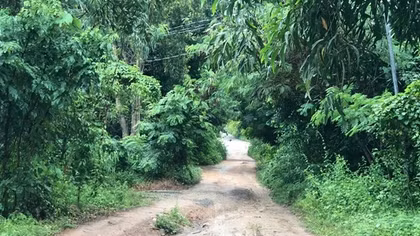 Điều tra vụ con trai dùng dao sát hại mẹ, chém gây thương tích chị gái của mình