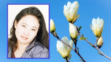 Phạm Hồ Thu: Giữa trữ tình truyền thống và thơ tự do