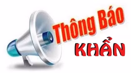 Tìm người liên quan đến Công ty cổ phần cảng Thái Hà