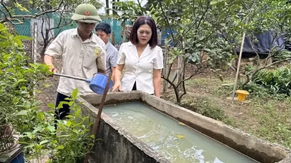 Sốt xuất huyết gia tăng, Bộ Y tế yêu cầu tăng cường phòng chống