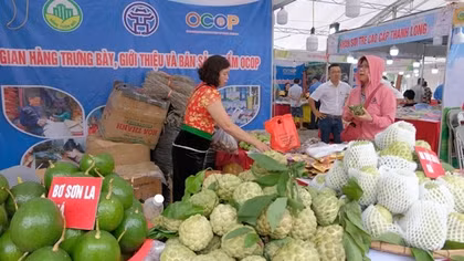 Đưa nông sản về phố qua livestream