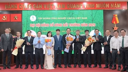 VRG sẽ đạt doanh thu tối thiểu 32.007 tỷ đồng năm 2025