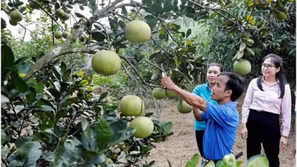 Vốn tín dụng chính sách xã hội góp phần giảm nghèo, thoát bẫy “tín dụng đen”