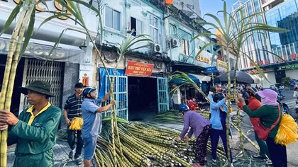 Sôi động chợ mía vàng cúng “vía” Ngọc Hoàng