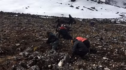 Tìm “sâu vàng” trên đỉnh Gangkhar Puensum, Bhutan