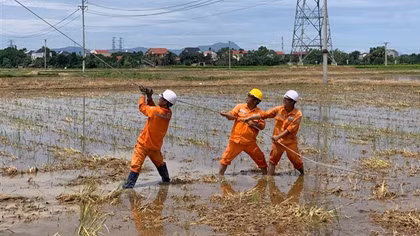 Hàng loạt cột điện ở Thanh Hoá gãy, đổ sau dông lốc